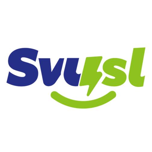 Demark (Wuhan) Technology Co., Ltd.  Wuhan Svysl Technology Co., Ltd
